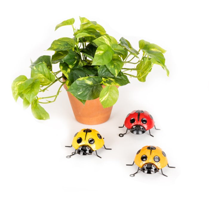 Alfresco | Garden Ladybug Asst Medium