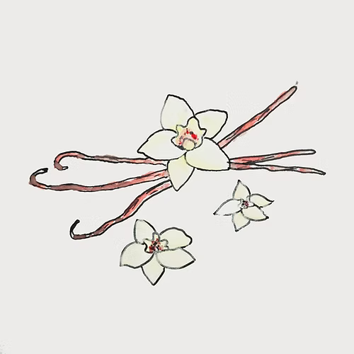 Inoko Australia Candle Vessel & Two Candle Refills - Concrete Rustic (Large)