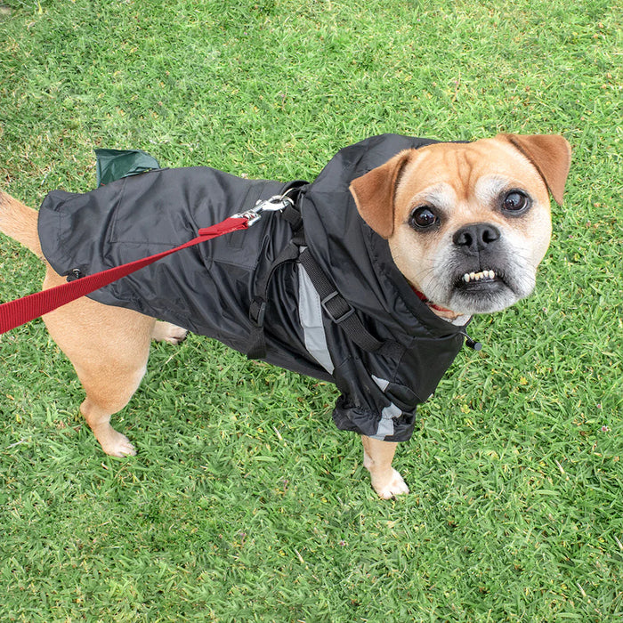 Louie Living | Black Dog Raincoat