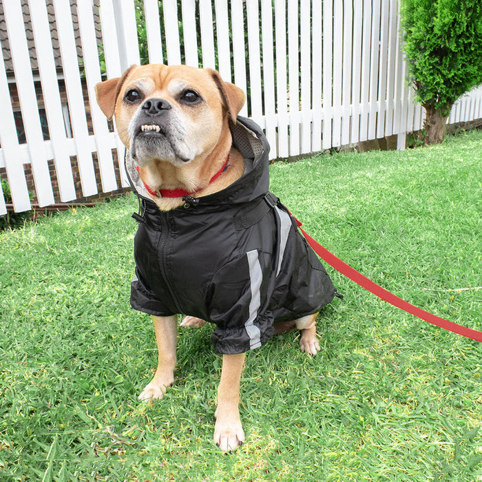 Louie Living | Black Dog Raincoat