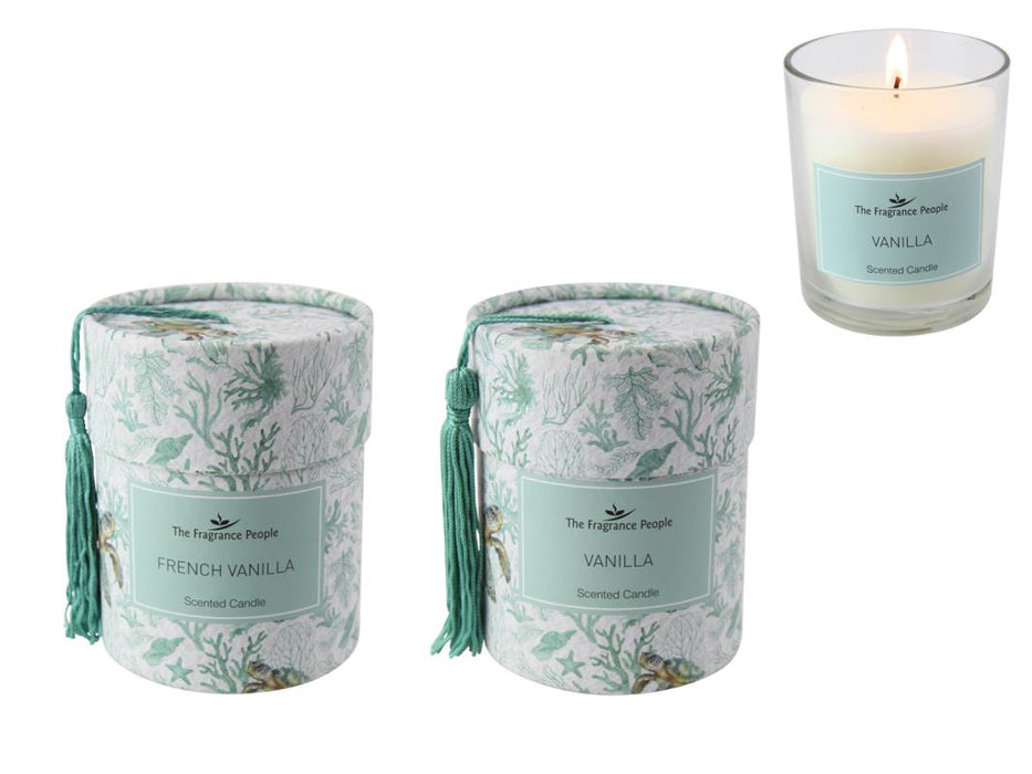 Kelly Lane | Coastal Turtle Candle - 200gram