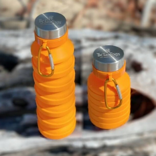 Kids Collapsible Water Bottle