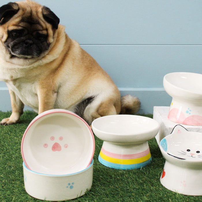 Pet Feast Bowl - Pink