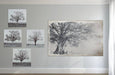 Seasons Glass Wall Art set of 4 - Lozza’s Gifts & Homewares 