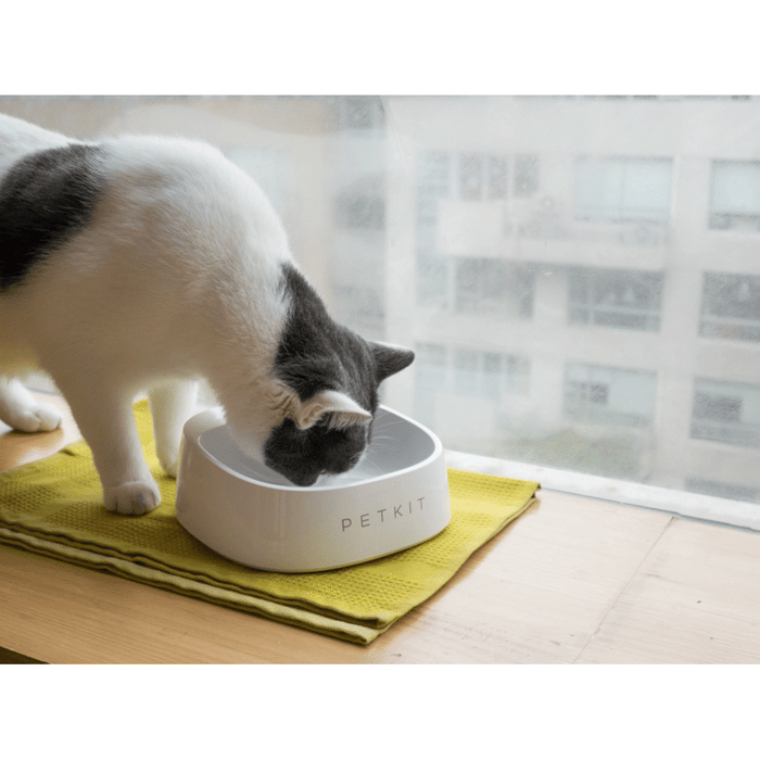 Petkit Fresh Smart Antibacterial Bowl - Lozza’s Gifts & Homewares 